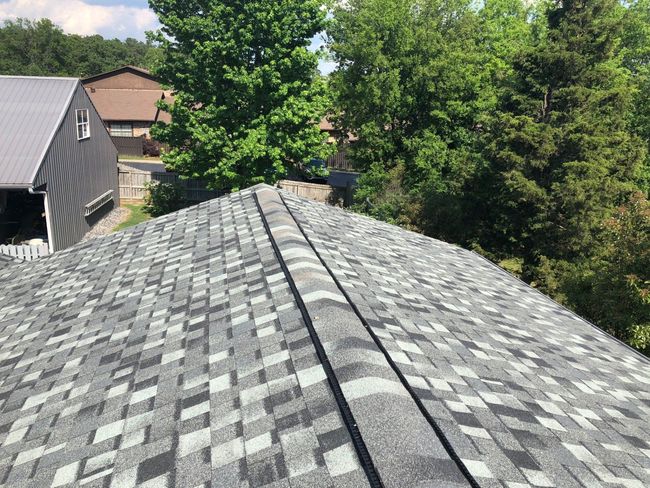 architectural shingles